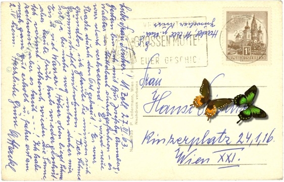 mariazell, gegen zellerhüte