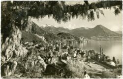 vitznau, ortsansicht