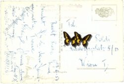 strada del stelvio: albergo sotto