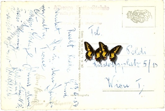 strada del stelvio: albergo sotto