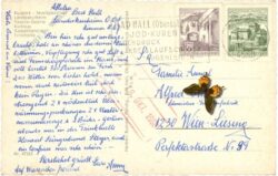 bad hall, multiansicht