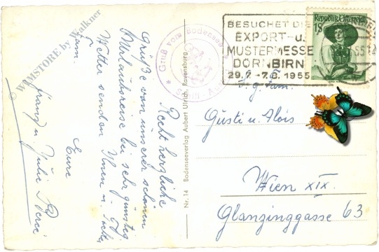 konstanz, rheinausfluß mit schweizer alpen