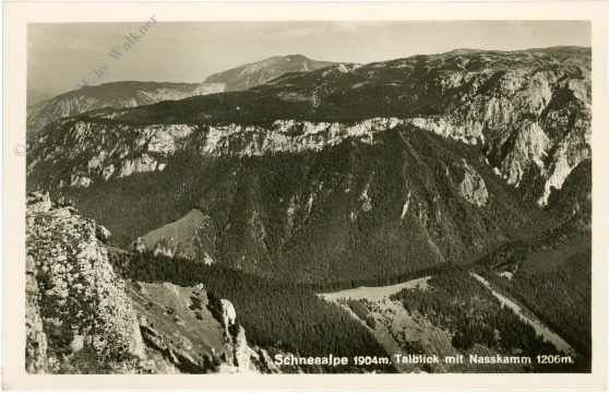 schneealpe, talblick mit nasskamm