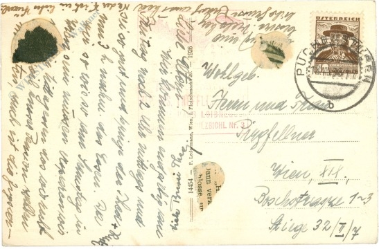 puchenstuben, trefflingfall