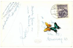 semmering, kurhaus schneeberg