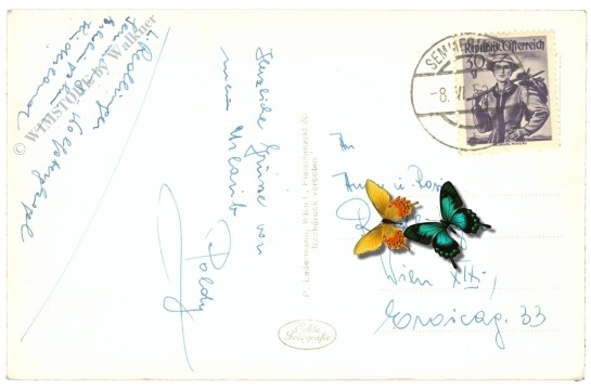 semmering, kurhaus schneeberg