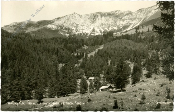 hohe veitsch, brunnalm