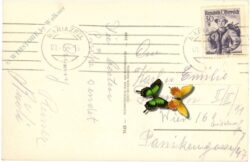 mariazell, gegen hochschwab