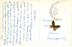 st. wolfgang, weißes rössl