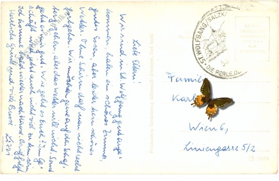 st. wolfgang, weißes rössl