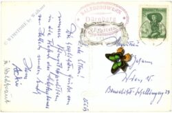 dürrnberg, multiansicht