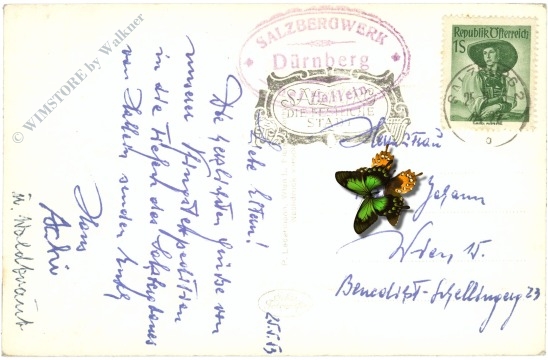 dürrnberg, multiansicht