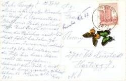 zöbern, ortsansicht