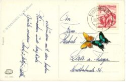 neujahr, verschneite landschaft