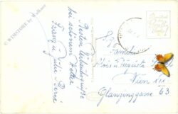 kirchschlag in der buckligen welt, mit burgruine