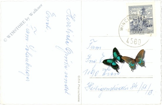 windischgarsten, haus windischgarsten mit dem sengsengebirge