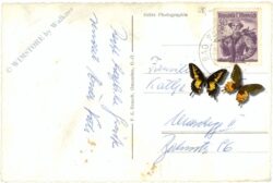 bad schallerbach, multiansicht