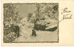 weihnachten, schlittenfahrt