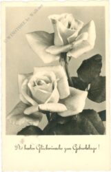 geburtstag, rosen