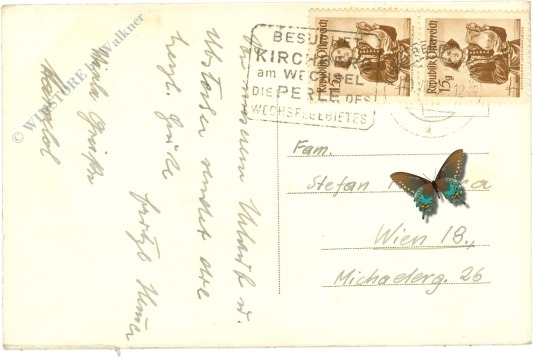 st. corona am wechsel, ausblick gegen schneeberg