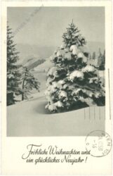 weihnachten, verschneite bäume