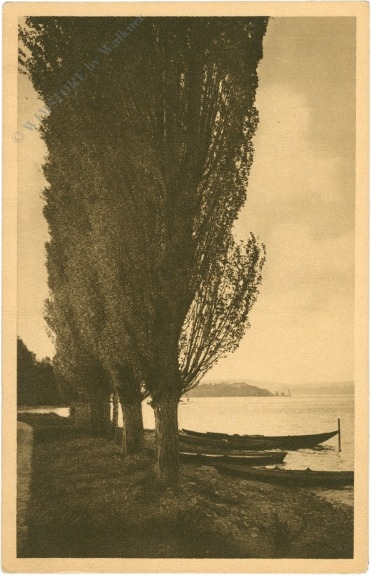 konstanz, staad, pappelallee mit mainaublick