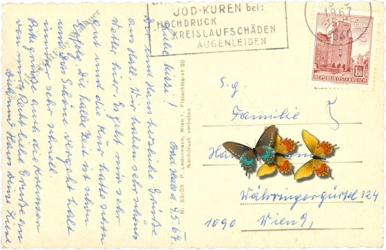 bad hall, gegen den traunstein