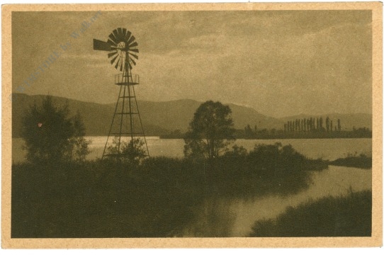ludwigshafen bodman, am bodensee, motiv auf dem weg ludwigshafen bodman, am bodensee, motiv auf dem weg
