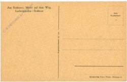 ludwigshafen bodman, am bodensee, motiv auf dem weg