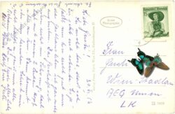 grieskirchen, arkadenhof im schloss parz