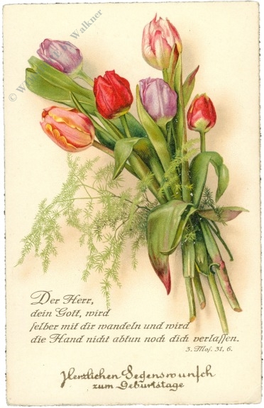 geburtstag, tulpen geburtstag, tulpen