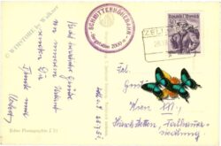 zell am see, gegen die tauern