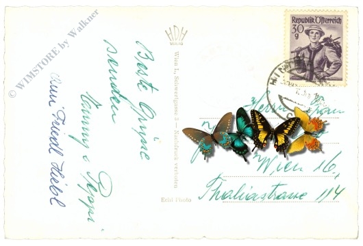 hinterstoder, pension dietlgut