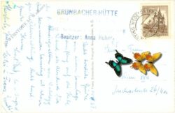 hohe wand, kanzelgrate