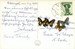 abtenau, gegen das tennengebirge