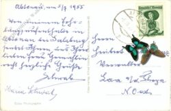 abtenau, mit wieswand
