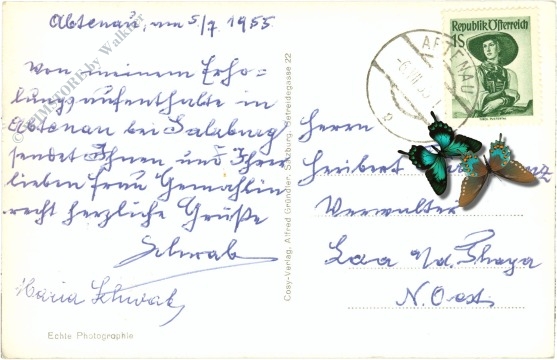 abtenau, mit wieswand