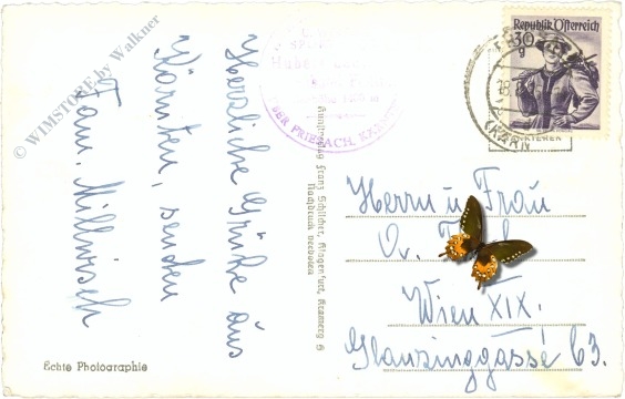 flattnitz, mit wintertalernock und eisenhut