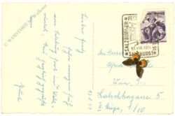 salzburg, schloss mirabell, mirabellgarten