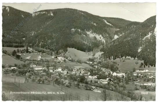 prigglitz, ortsansicht