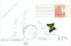 prigglitz, ortsansicht