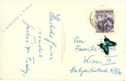 gutenstein, mariahilfberg