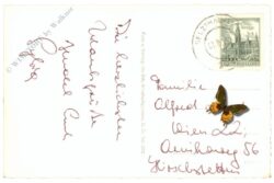 windischgarsten, m.d. toten gebirge