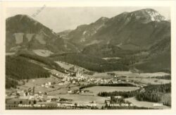 mariazell, student, tonion