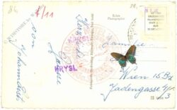 st. wolfgang, weißes rössl