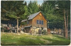 weißenbach an der triesting, jagasitz nächst dem türkenloch, steinwandklamm