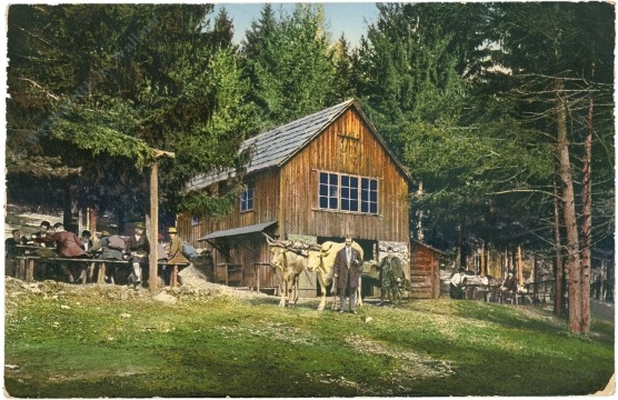 weißenbach an der triesting, jagasitz nächst dem türkenloch, steinwandklamm weißenbach an der triesting, jagasitz nächst dem türkenloch, steinwandklamm