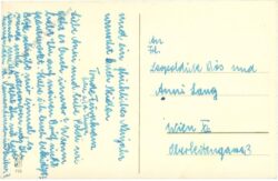 weihnachten, wichtel auf reh mit engel