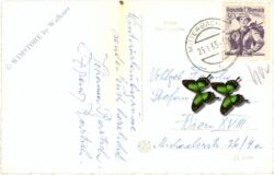 mariazell, multiansicht im winter