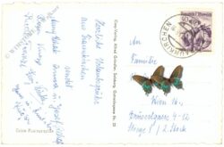 traunkirchen, traunsee